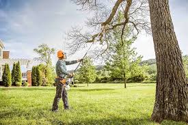 Reliable Port Oconnor, TX Tree Services Solutions