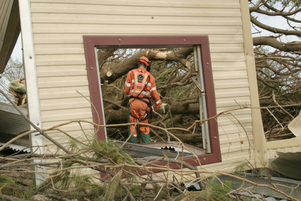 Best Stump Grinding and Removal  in Port Oconnor, TX